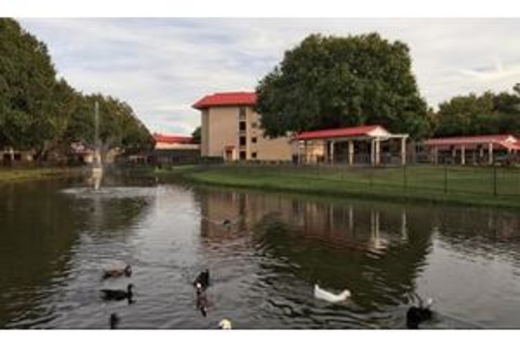 The Estates at Carpenters Lakeland, FL