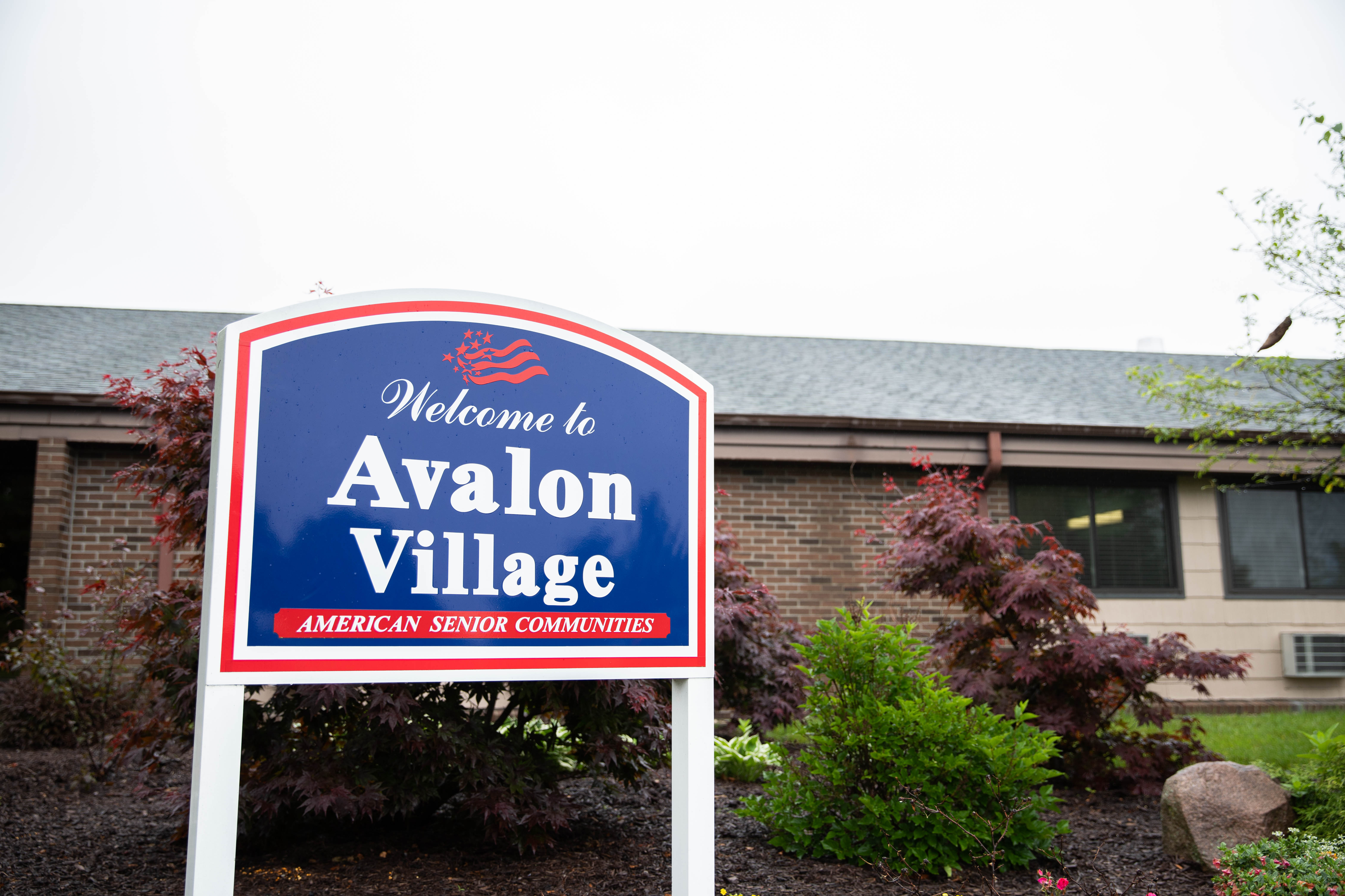 Avalon Village image