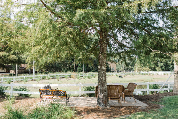 The Social at Savannah