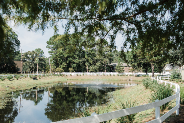 The Social at Savannah