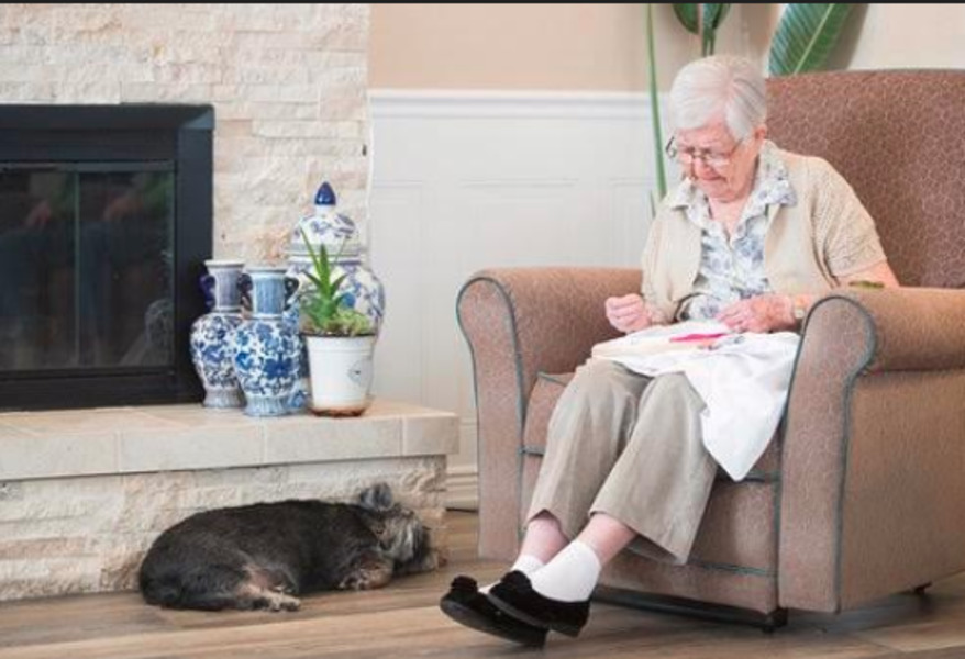 Graceful Living Senior Care