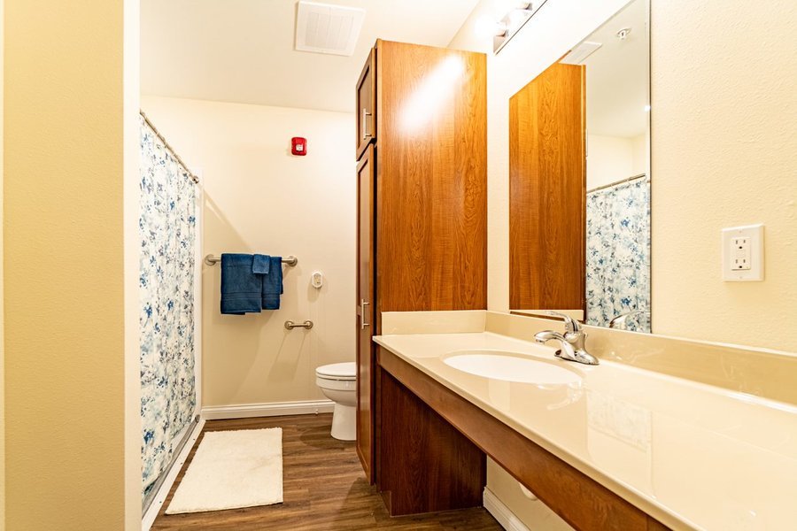 The Carriages of Decatur