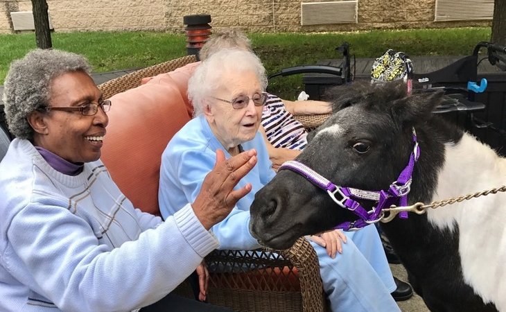 Spring Oak Assisted Living of Vineland