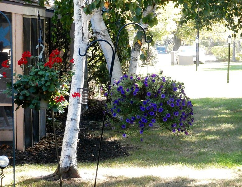 Cardinal Retirement Village