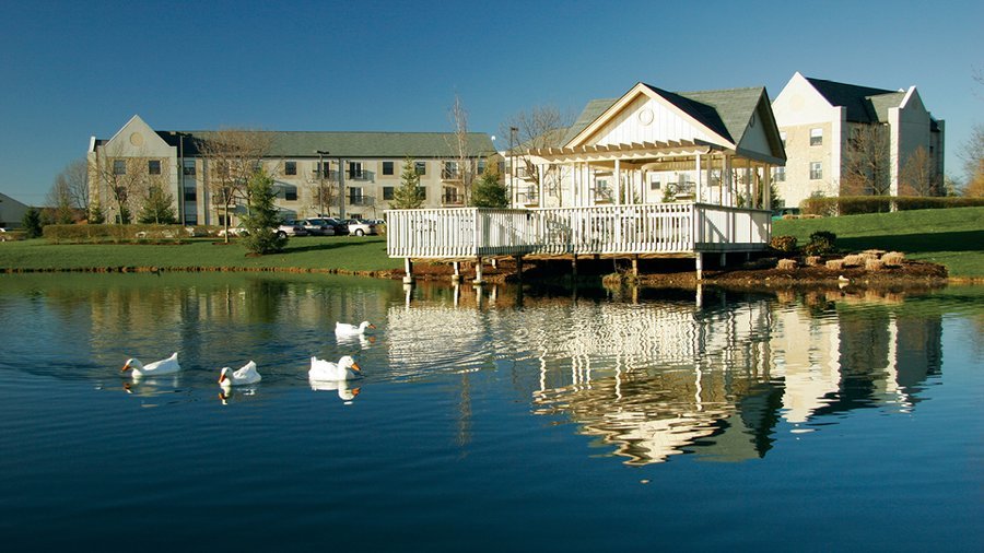 Senior Star at Dublin Retirement Village