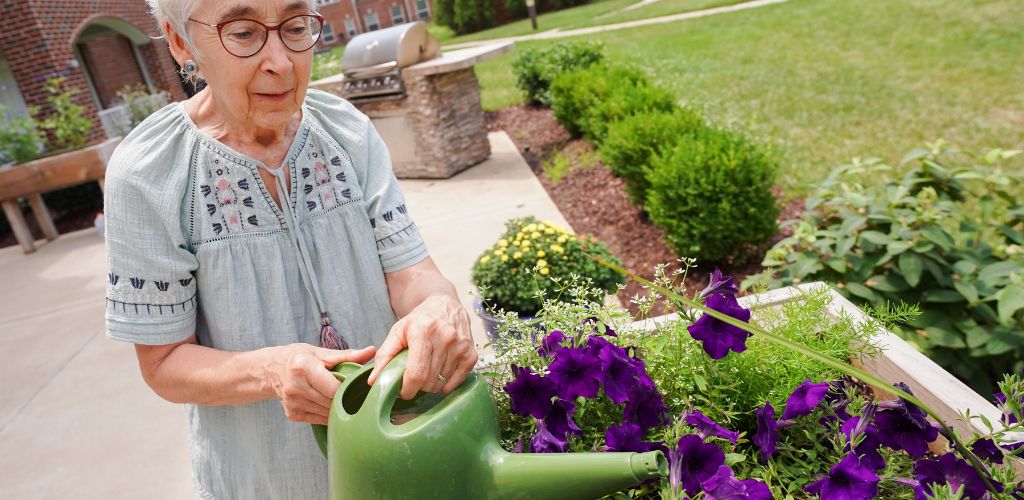 The Harmony Collection at Hanover