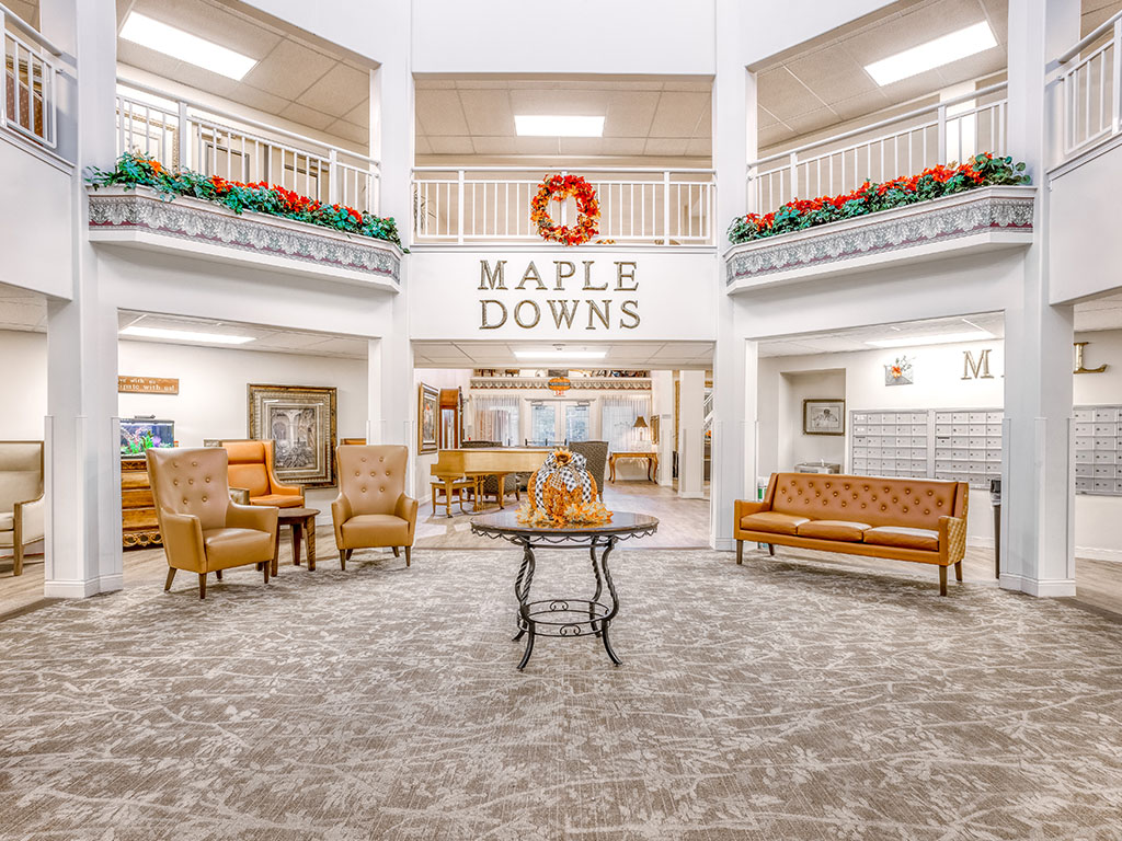 Holiday Maple Downs image