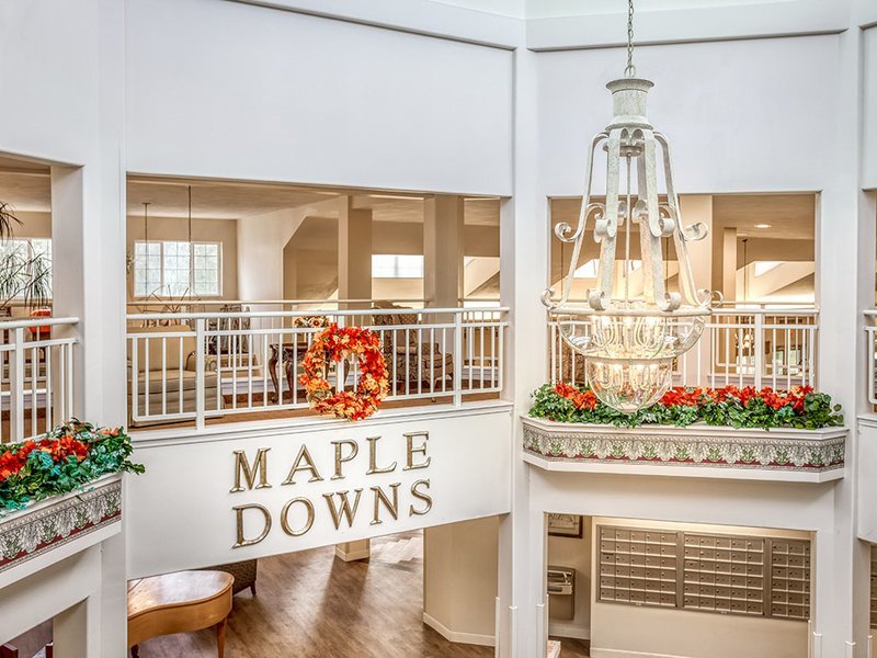 Holiday Maple Downs