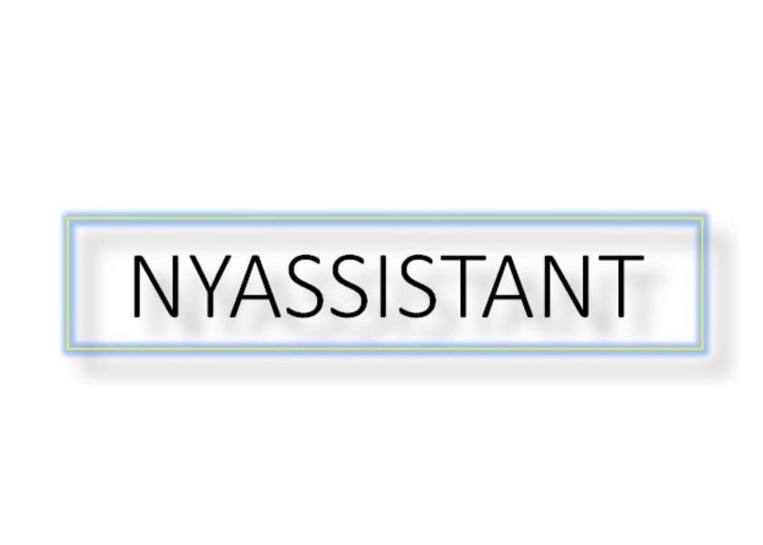 NYAssistant