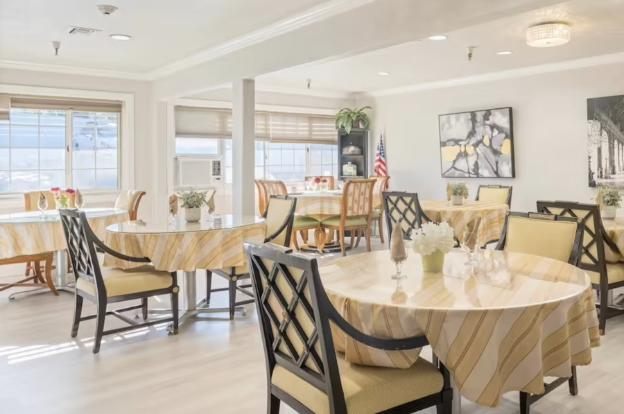 Walnut Creek Willows