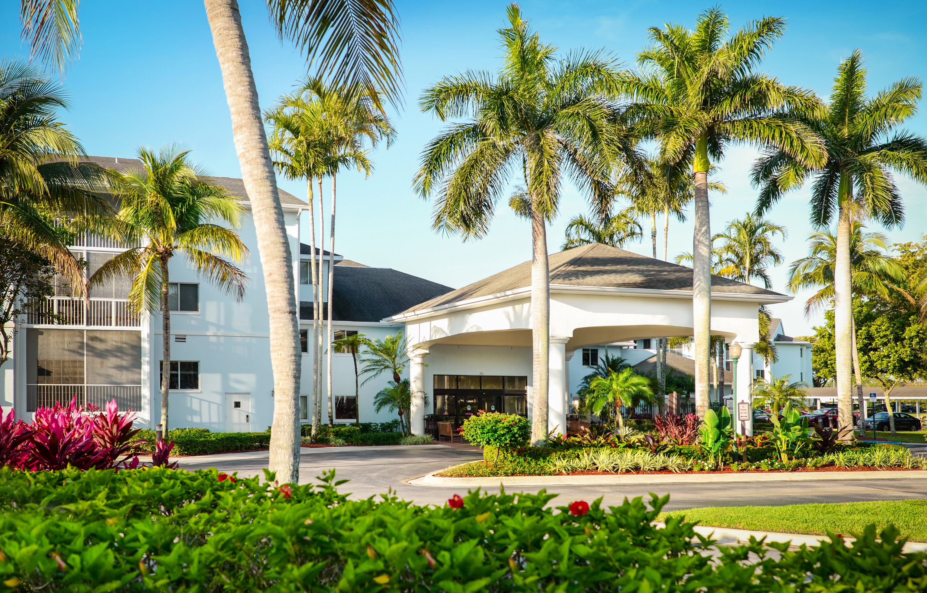 Senior Care Options:  Signature Healthcare of Palm Beach vs. Other Local Facilities.