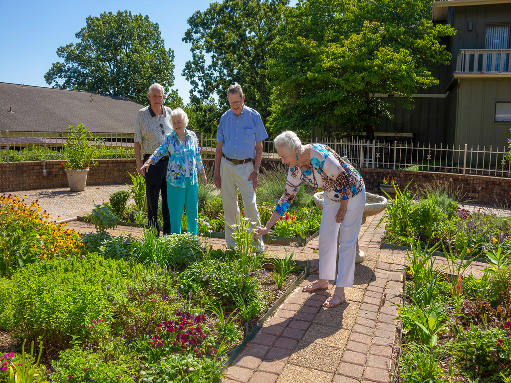 Concordia of Bella Vista