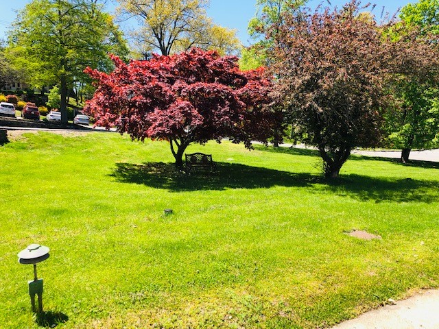 The Springvale Inn | AssistedLiving.org