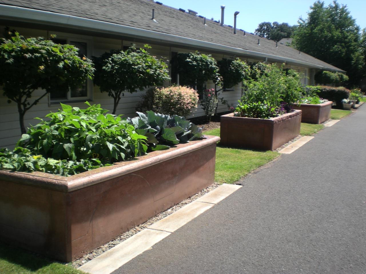 Meadows Courtyard image