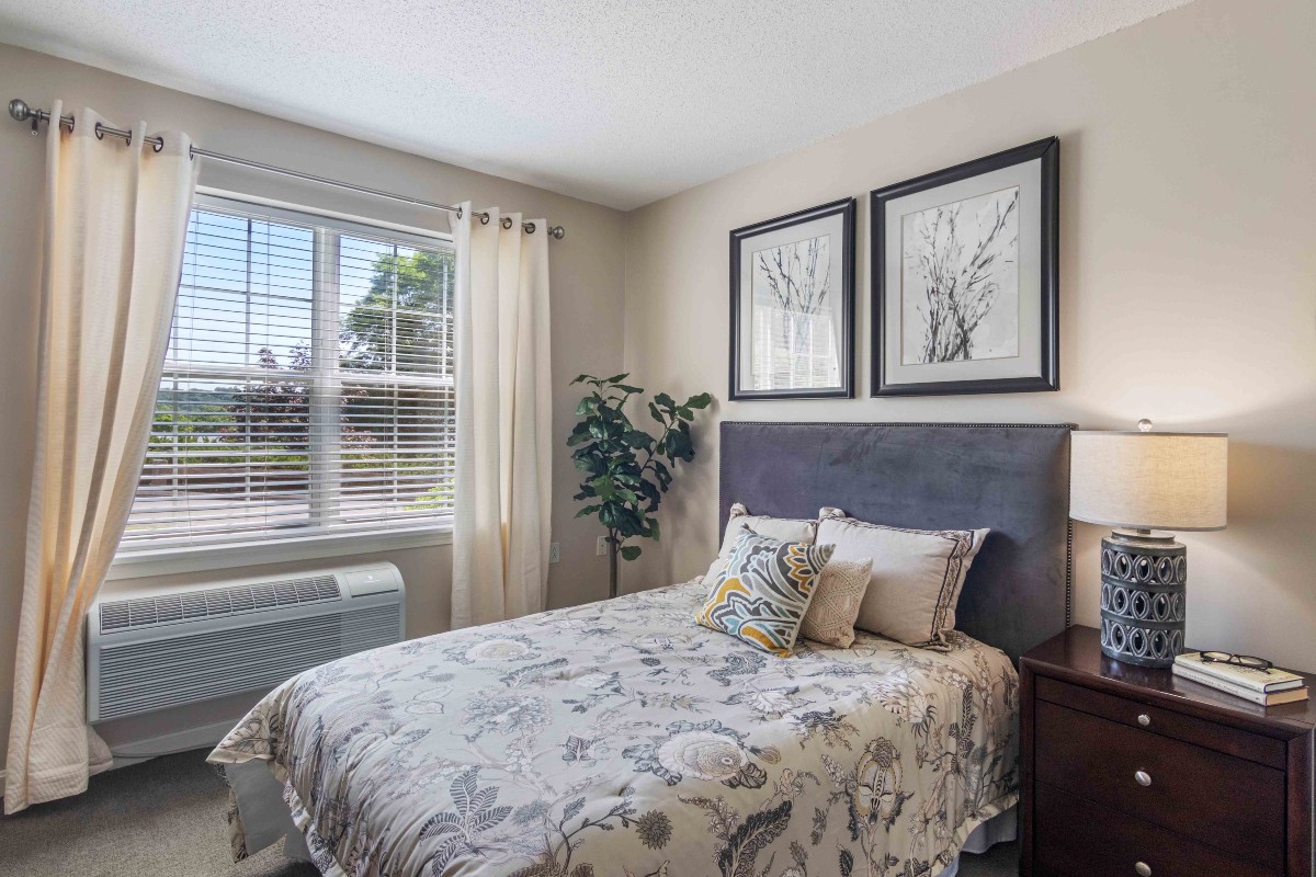 The Village at Brookfield Common