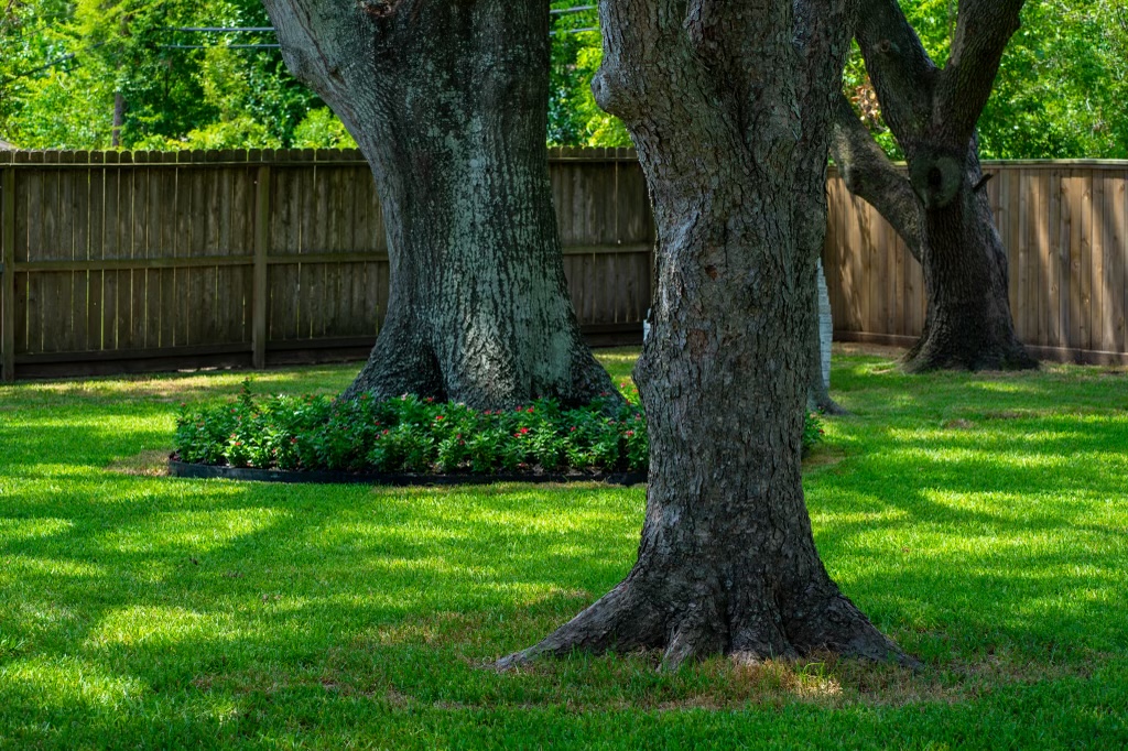 Everywhere Is Home Residential Assisted Living