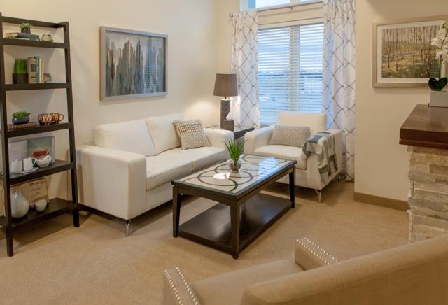 Vista Springs Greenbriar Village