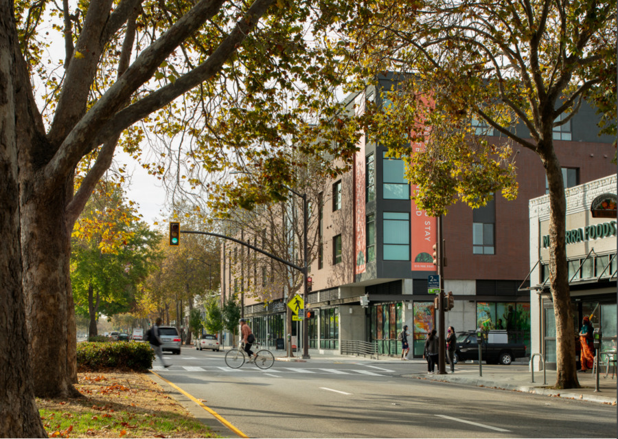 The Arbor at Berkeley