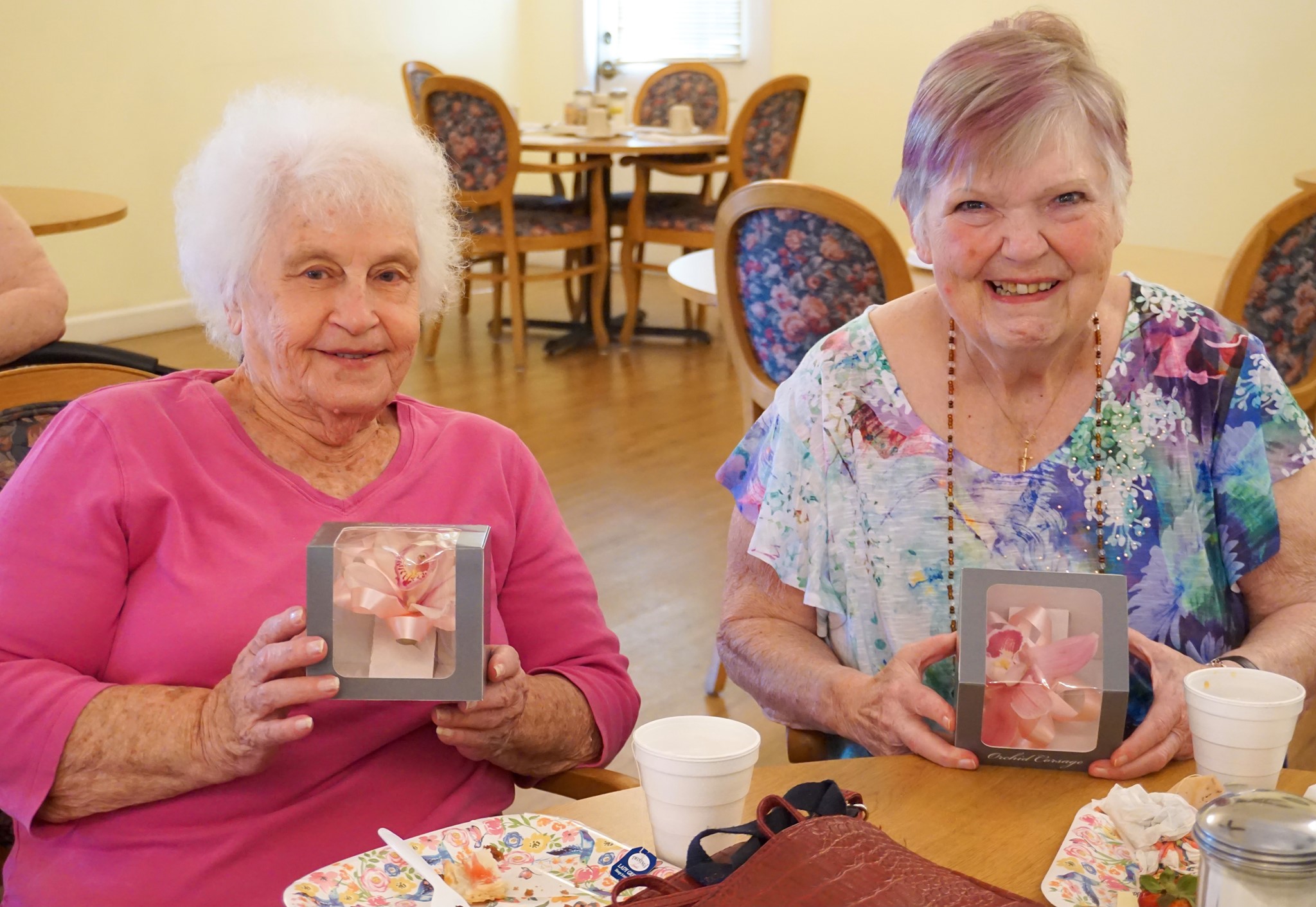 Peachtree Village of Farmington