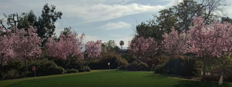 Nikkei Senior Gardens