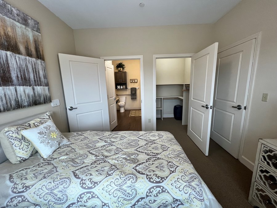 Vineyard Park of Surprise