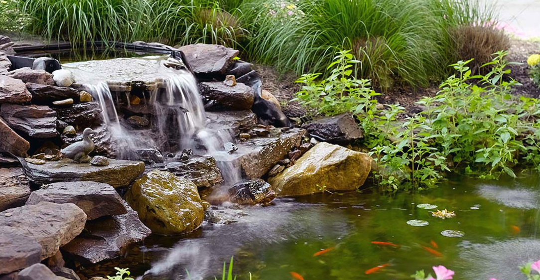 Celebration Villa of South Hills