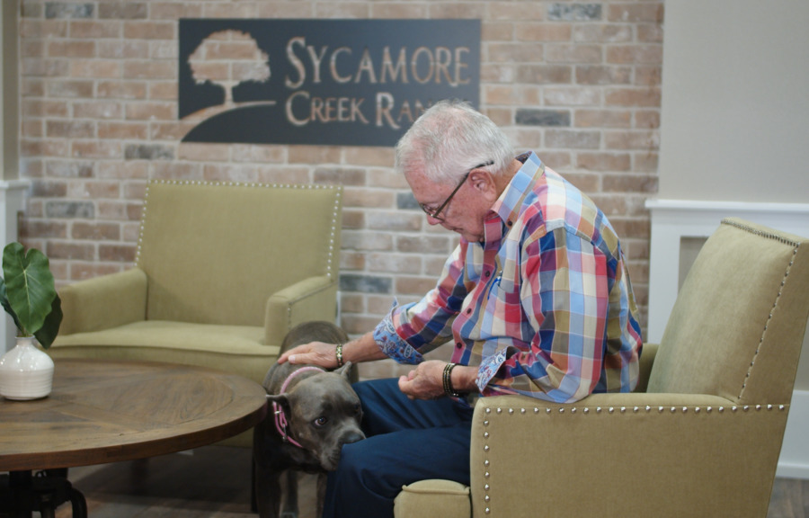 Sycamore Creek Ranch- Shenandoah