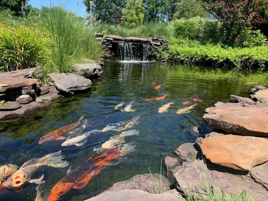 The Philadelphia Protestant Home