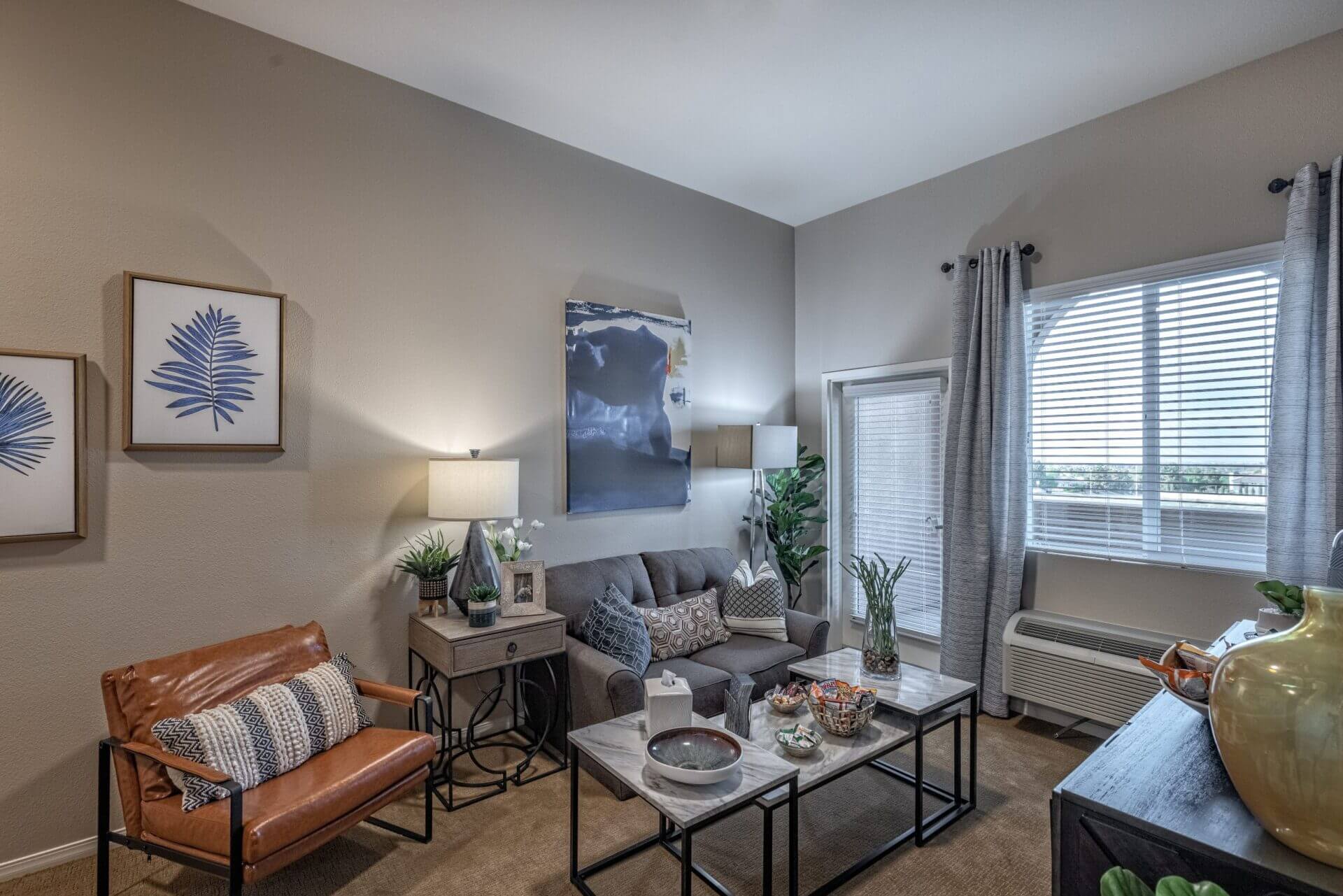 Palm Vista Senior Living