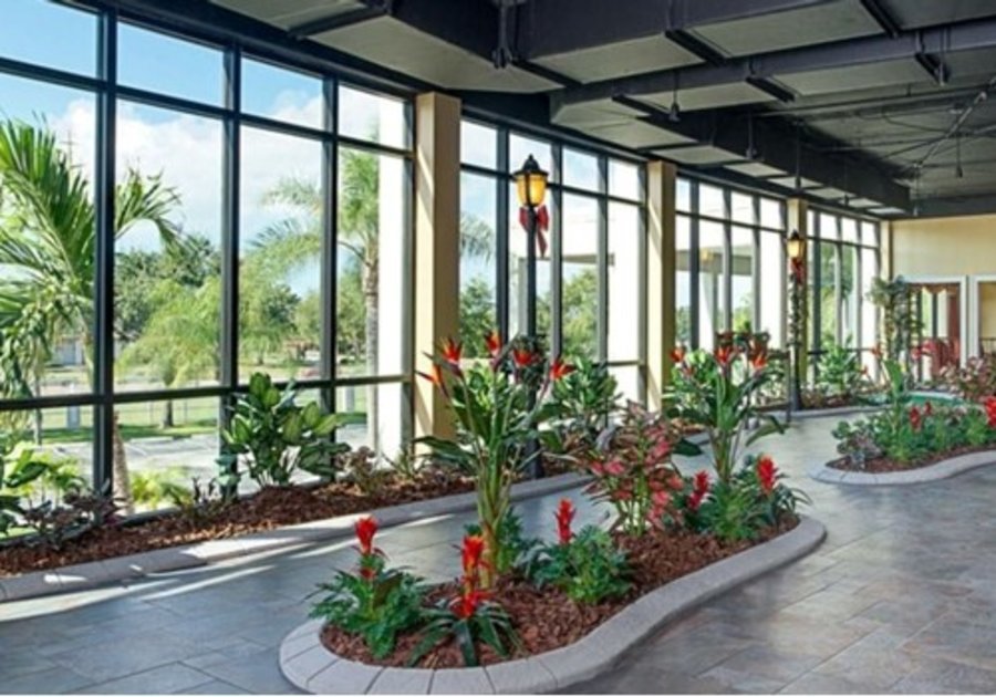 Salterra at St. Petersburg