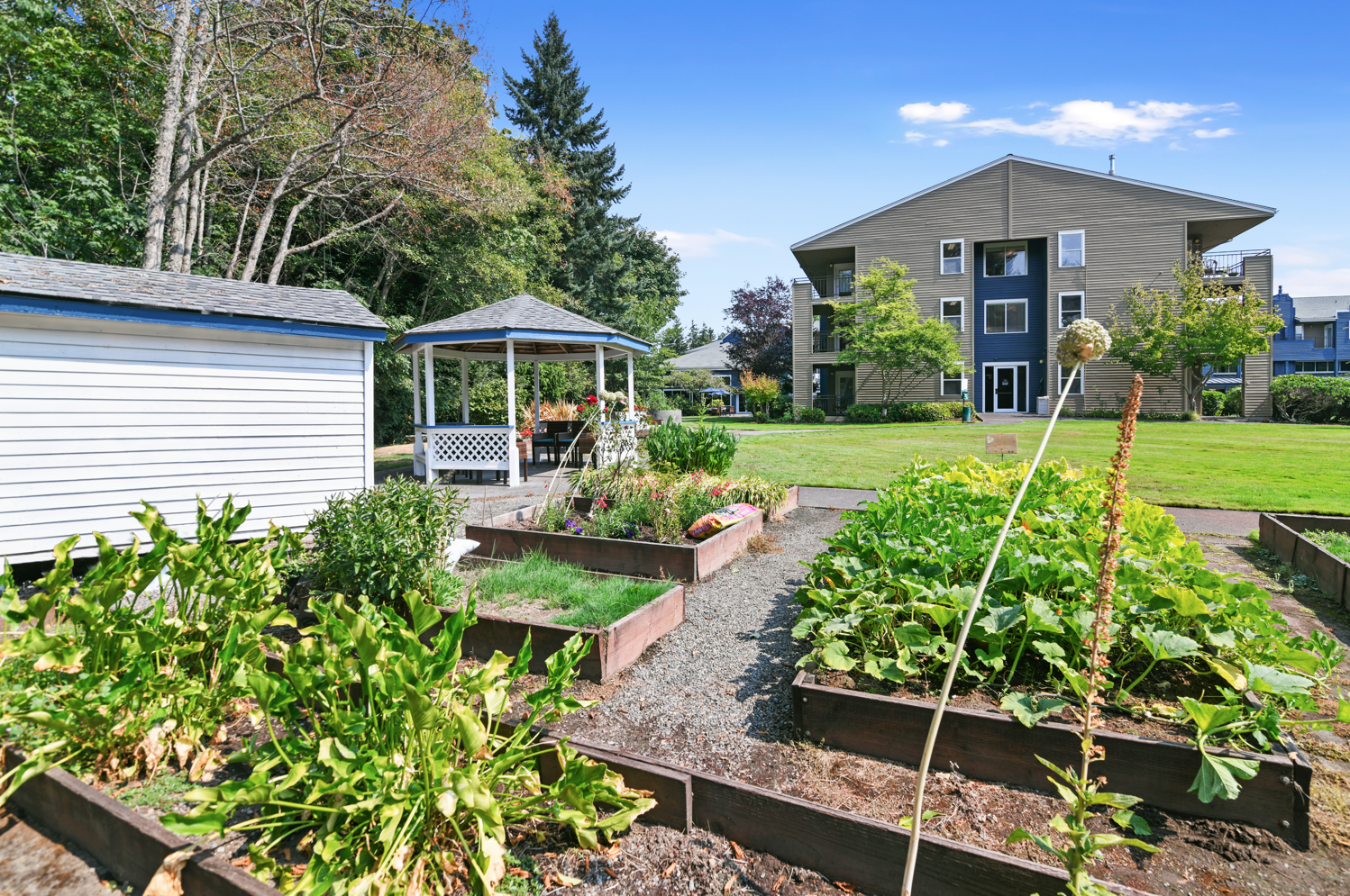 Cogir at the Narrows