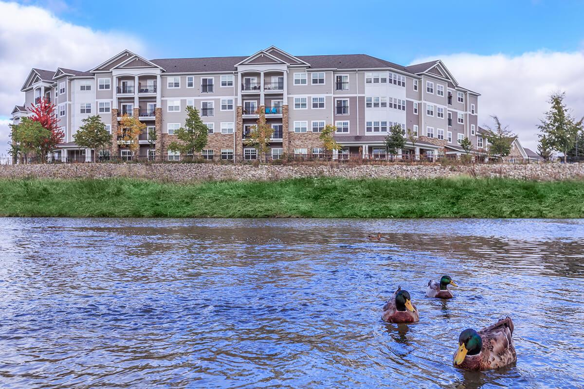 Aviva River Bend - 17 Reviews - Rochester, MN