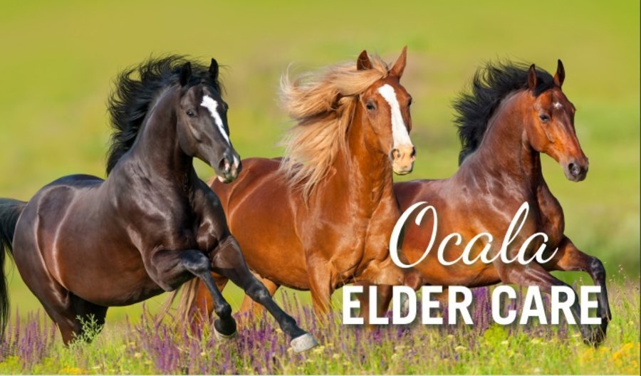 Ocala Elder and Adult Care