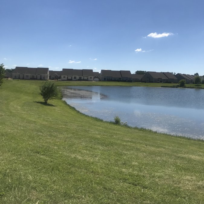 Mind Over Matter Senior Living