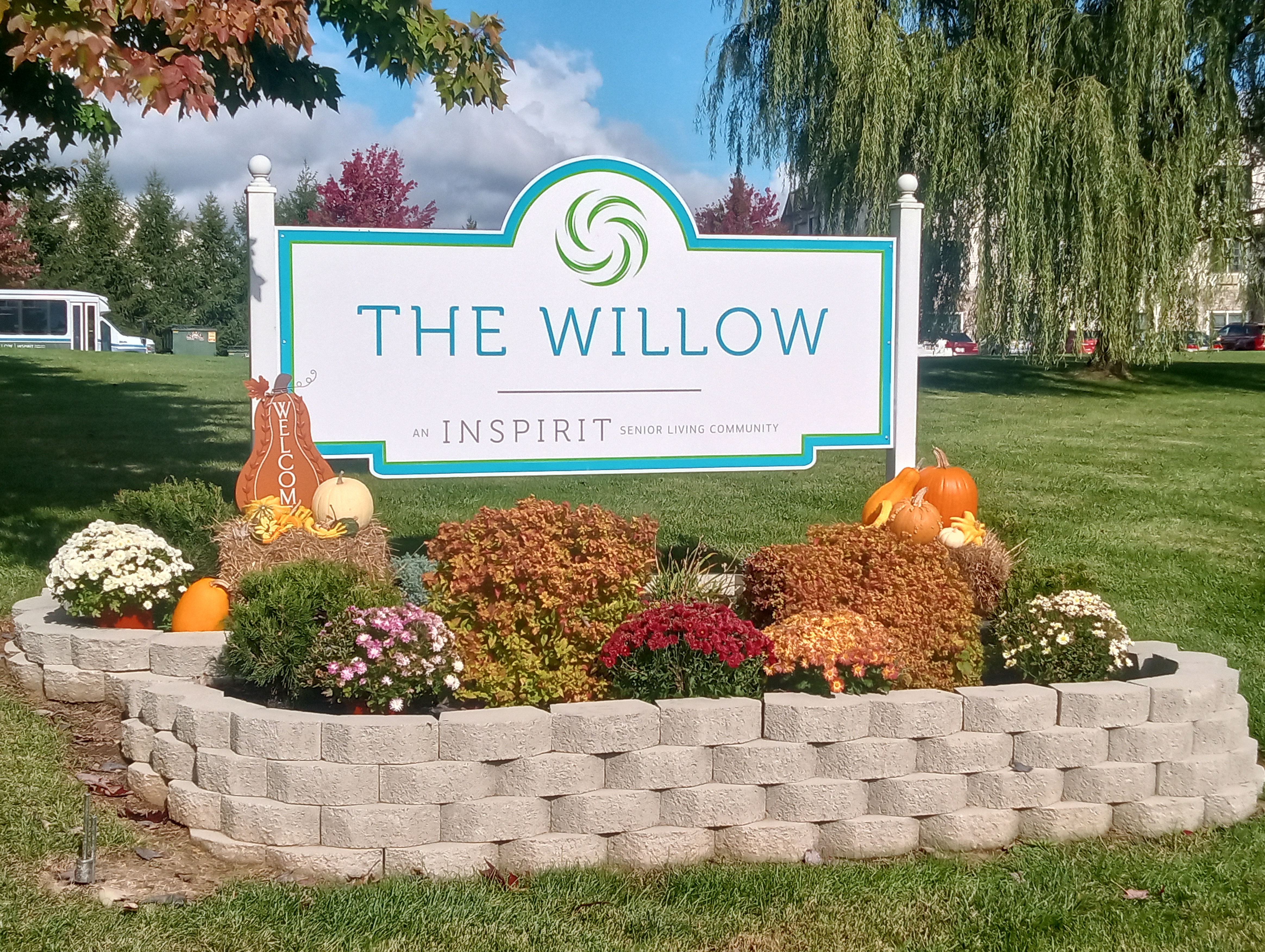 The Willow image