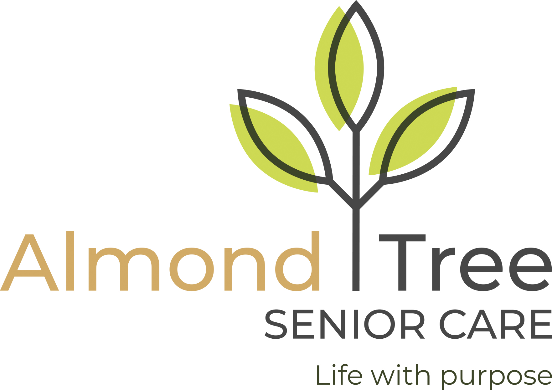 Almond Tree Senior Care - Highlands Ranch image