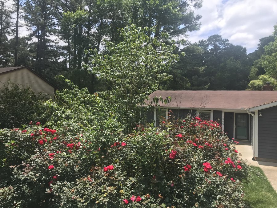 Lakepark Family Care Home