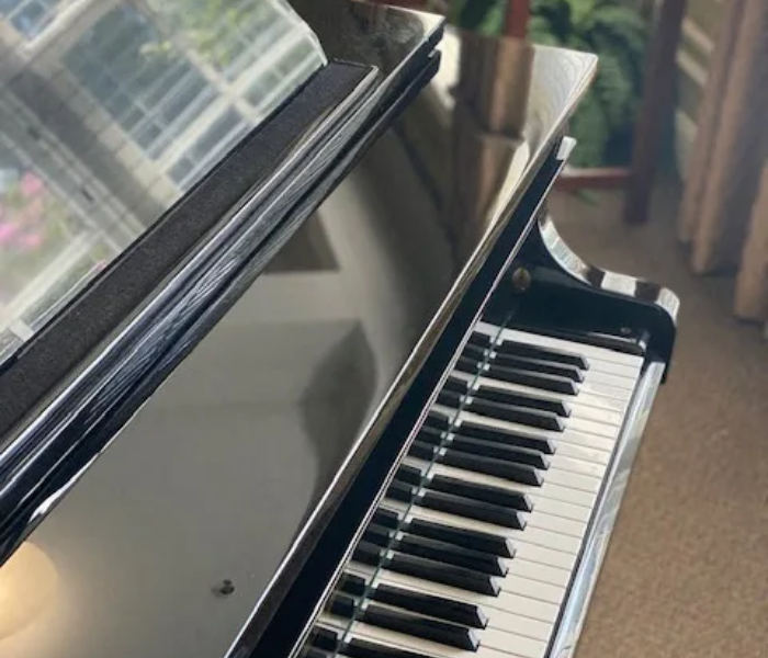 Spring Arbor of Greensboro