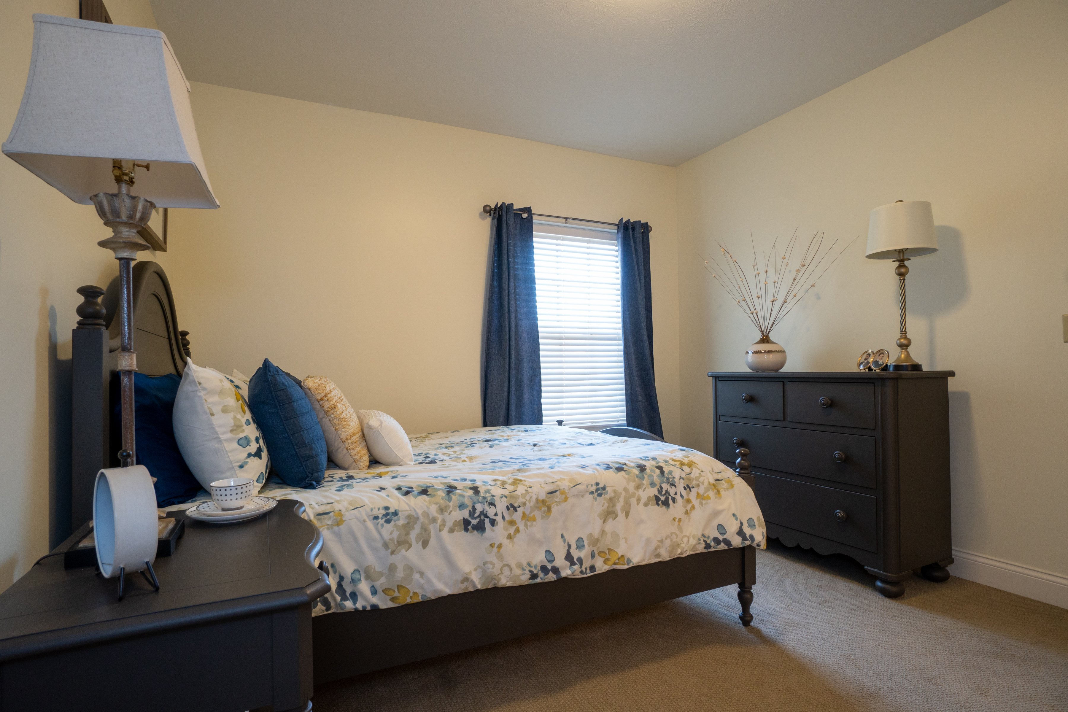 Magnolia Springs Lexington