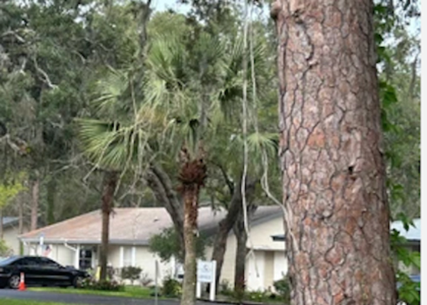 Elevated Estates of Spring Hill