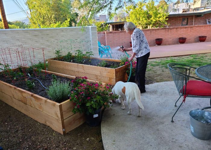 113 Senior Care Center LLC