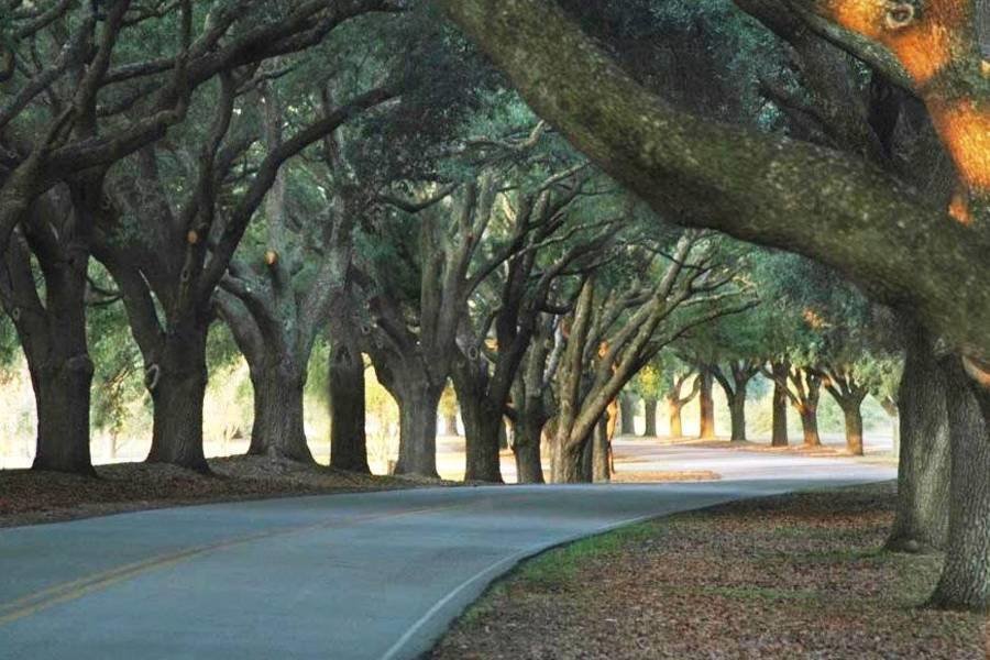 The Oaks of Orangeburg