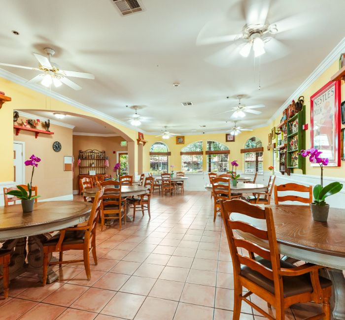 Buena Vista Assisted Living