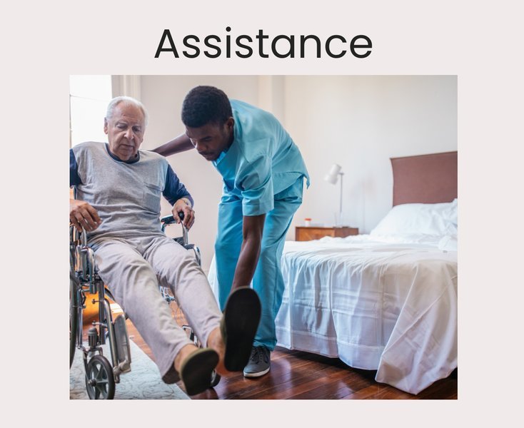 Pristine Home Care LLC - Dearborn, MI