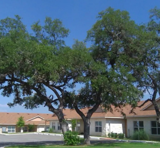 Terraces at Cibolo