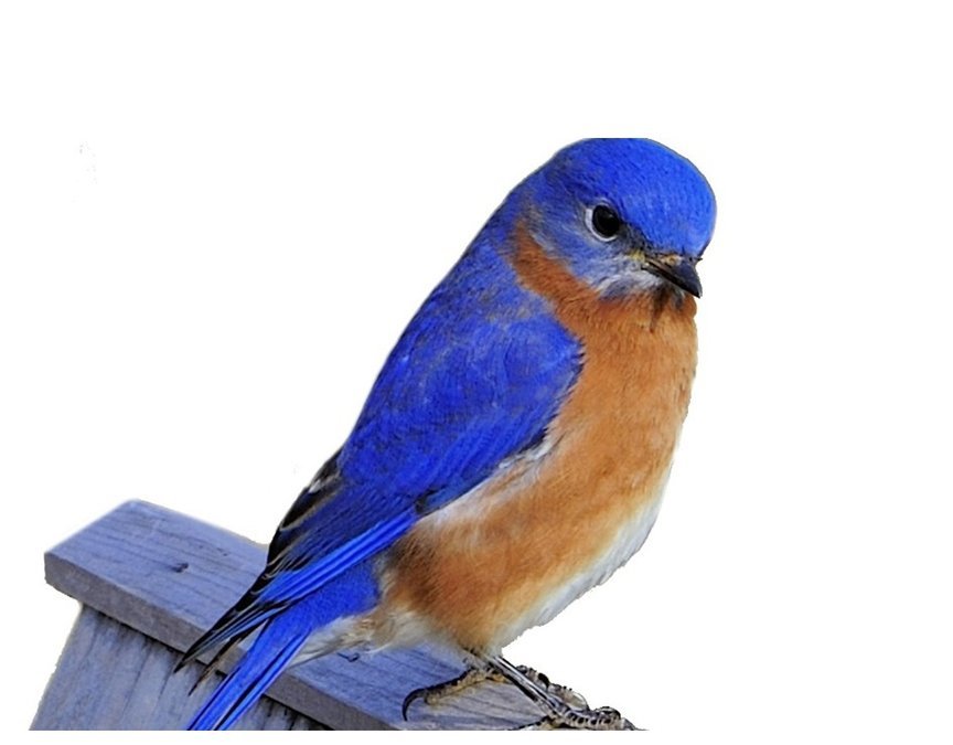 Adult Transitional Care - State College, PA