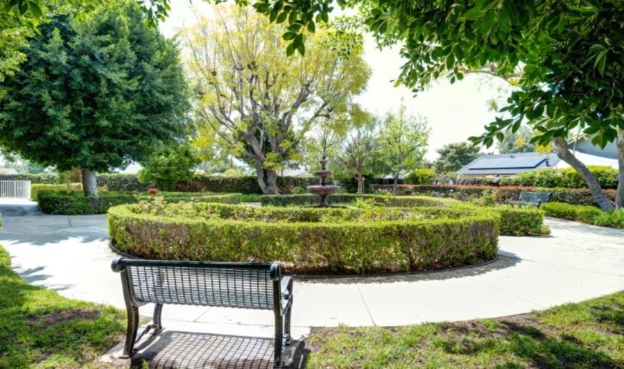 Ivy Terrace at Fullerton