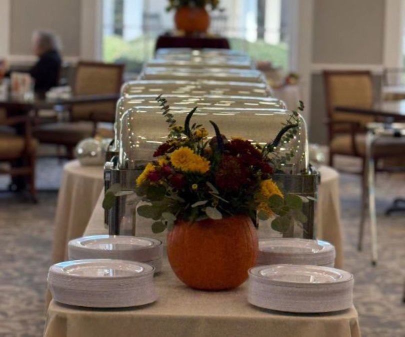 Kauhale Byrd Springs