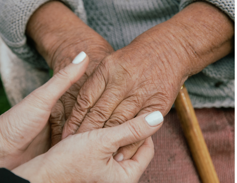 Wholesome Home Health Care