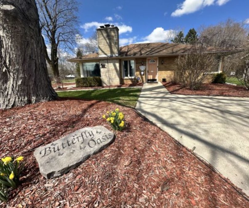 Butterfly Oasis